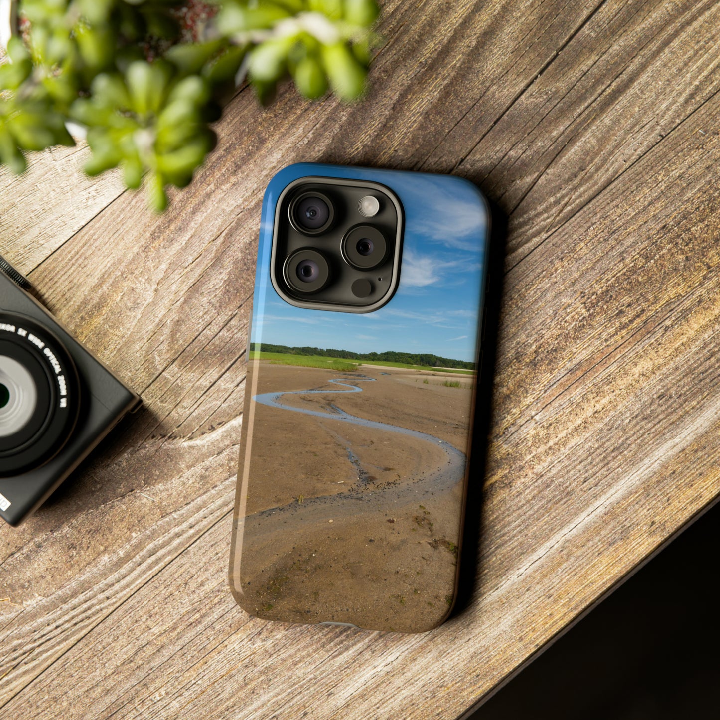 Cape Cod Phone Case