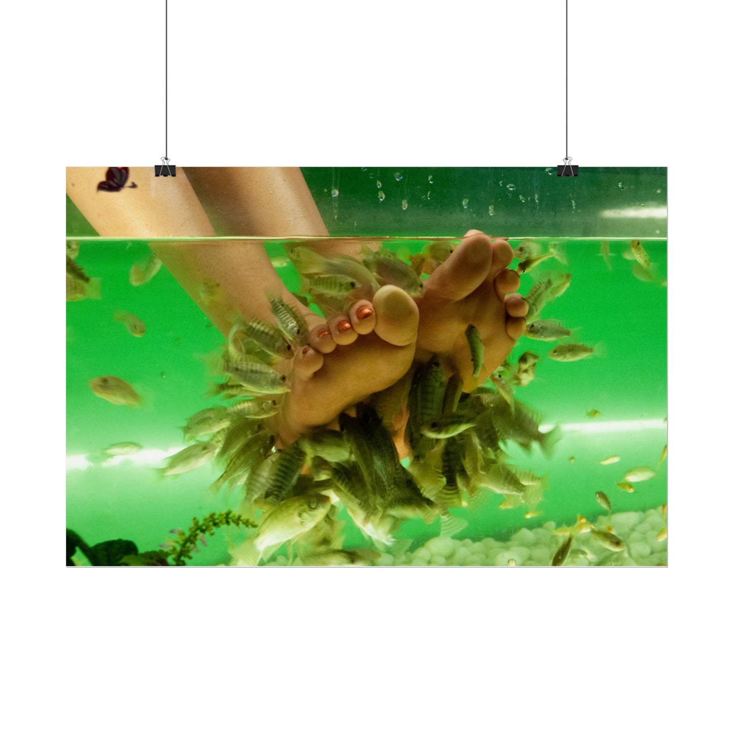 Fish Foot Massage Pedicure Feet Poster Wall Art