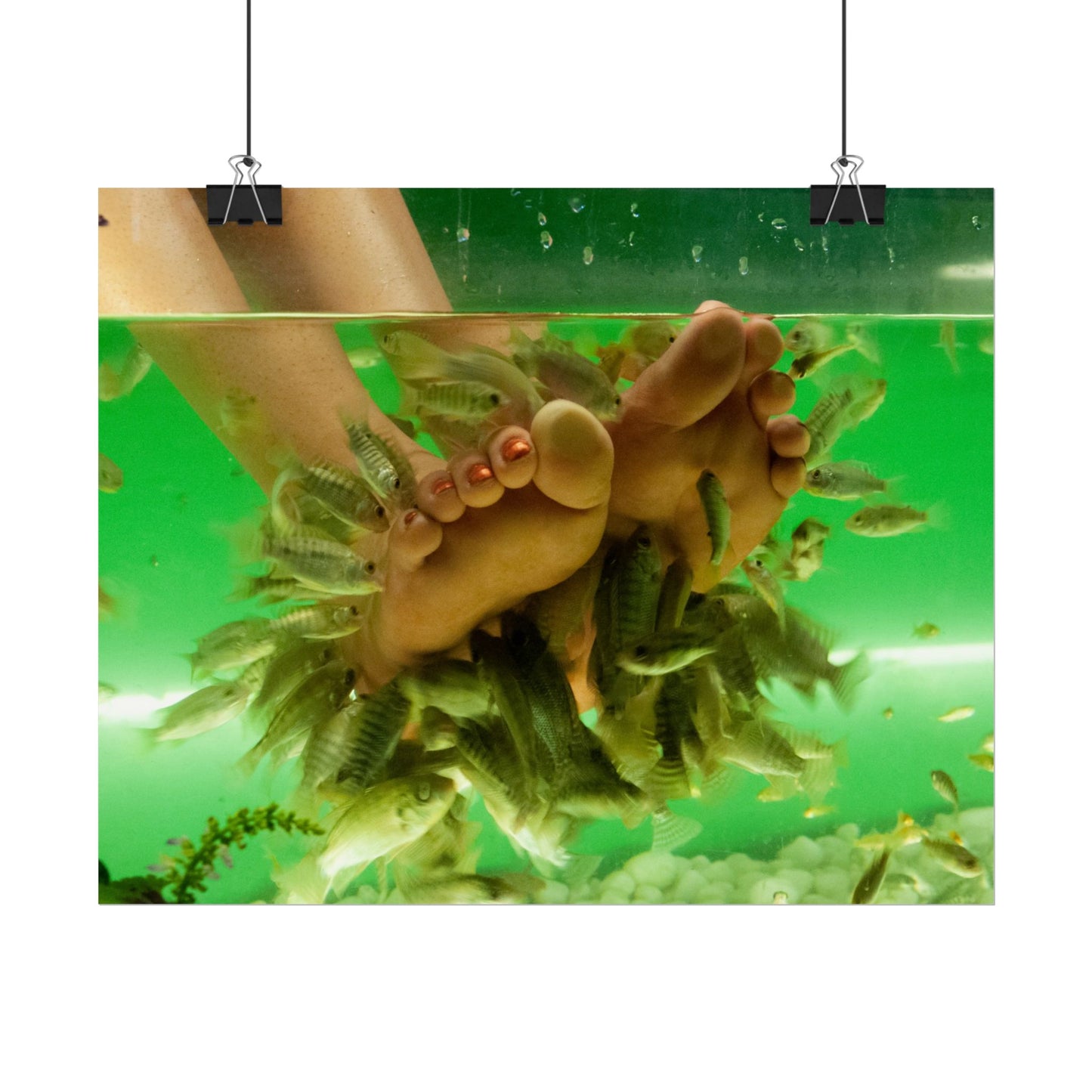 Fish Foot Massage Pedicure Feet Poster Wall Art
