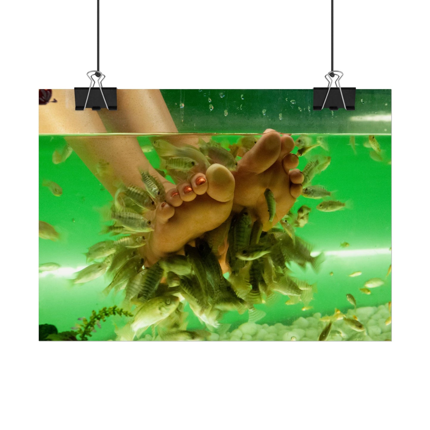 Fish Foot Massage Pedicure Feet Poster Wall Art