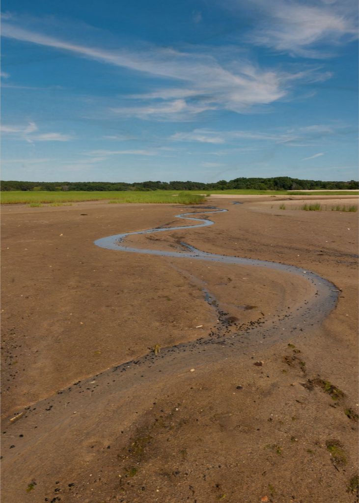 Wellfleet, Cape Cod - Photograph Printed on Wood