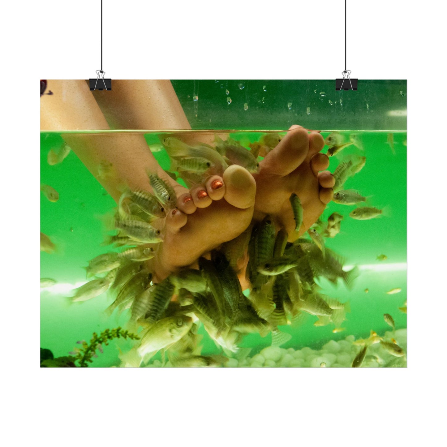 Fish Foot Massage Pedicure Feet Poster Wall Art