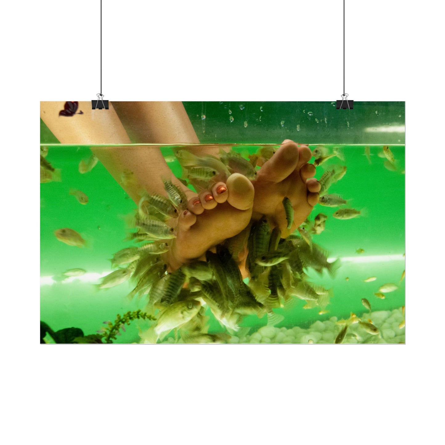 Fish Foot Massage Pedicure Feet Poster Wall Art