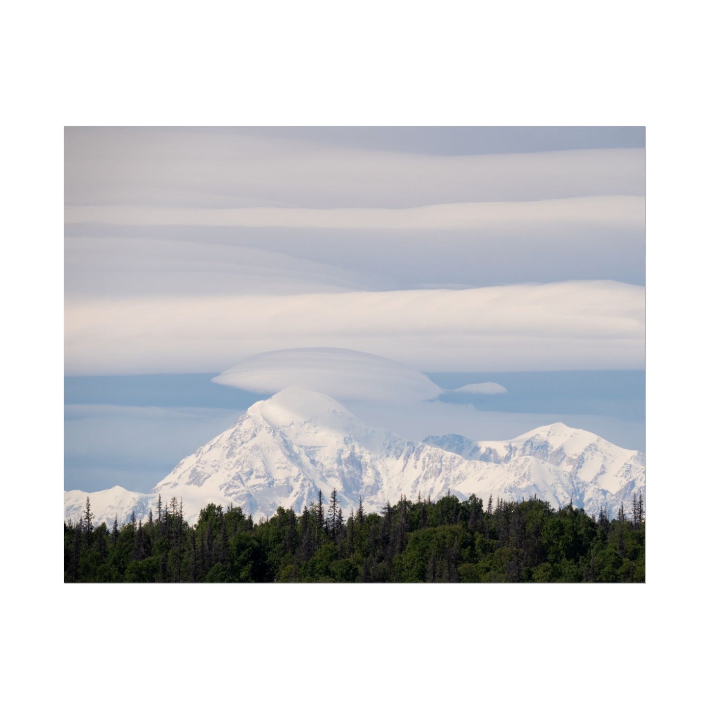 Denali - Alaska Poster - Wall Art