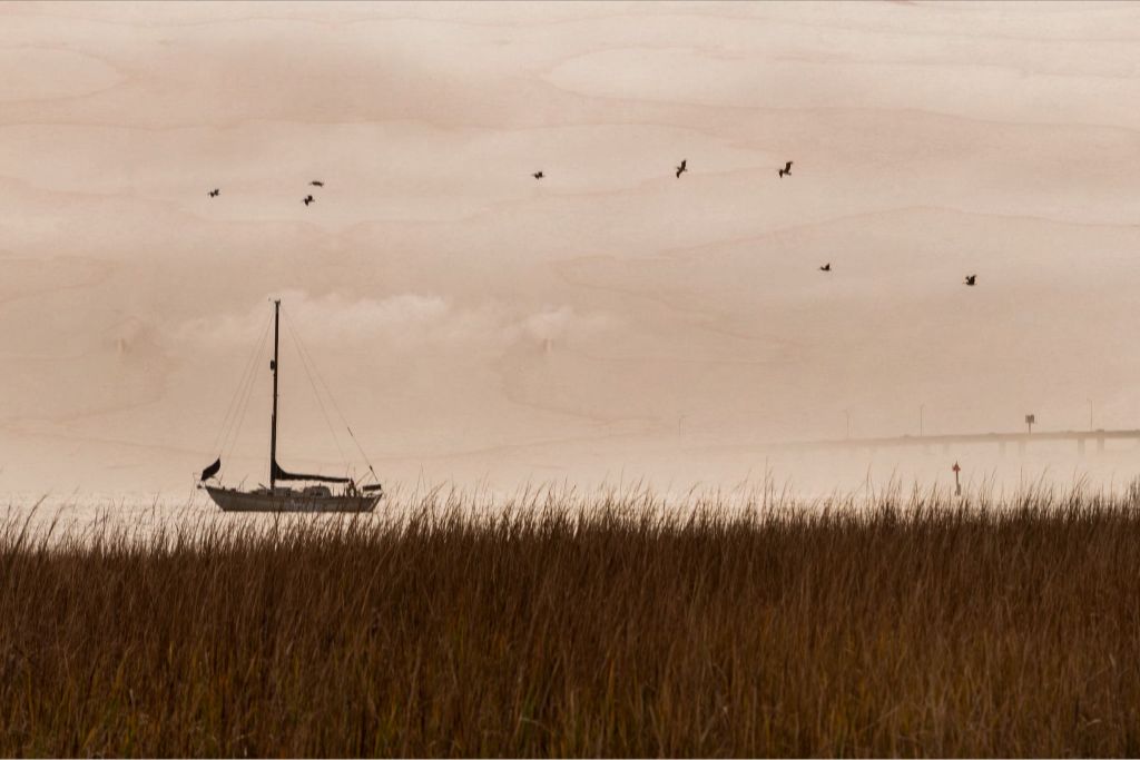 Southern Sail Boat - Printed on Wood