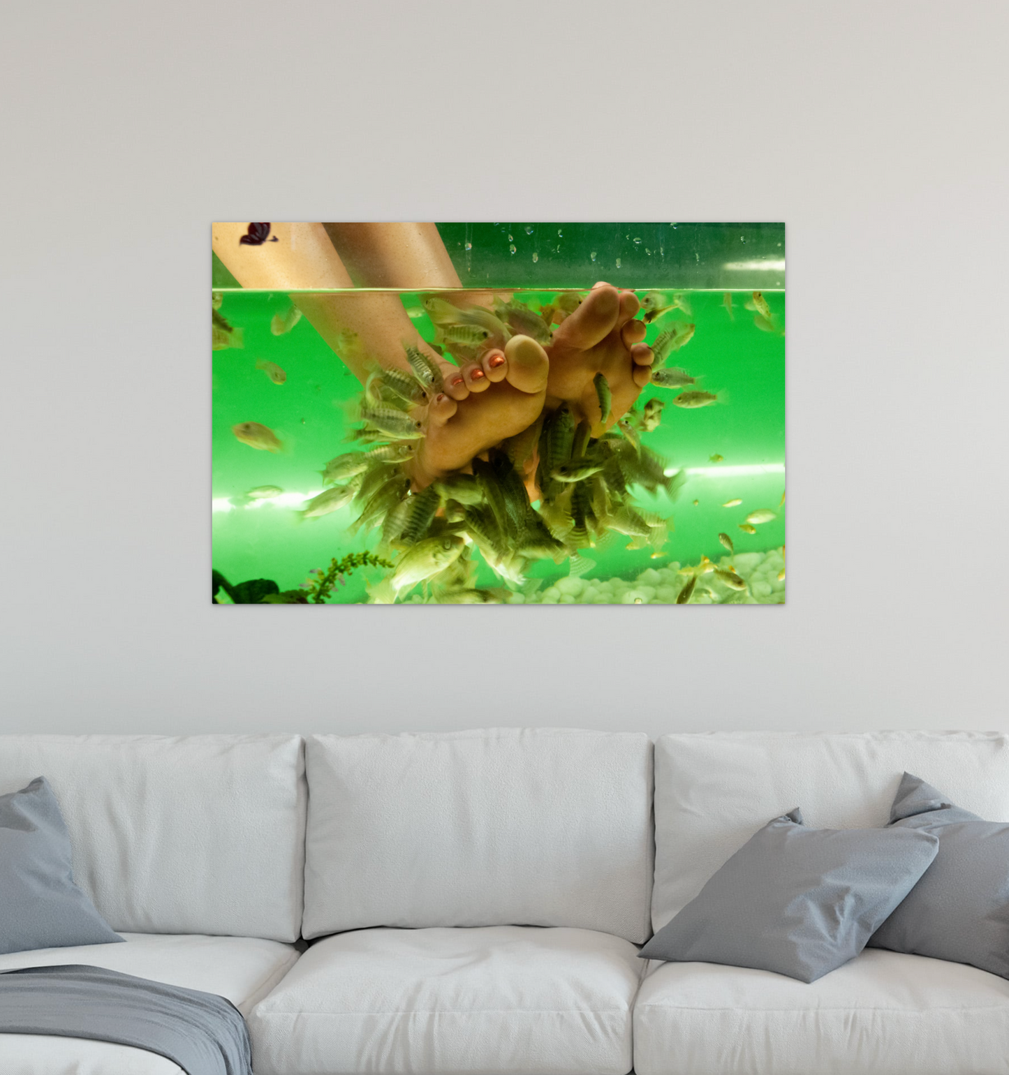 Fish Foot Massage - Wall Art - Photo Printed on Metal