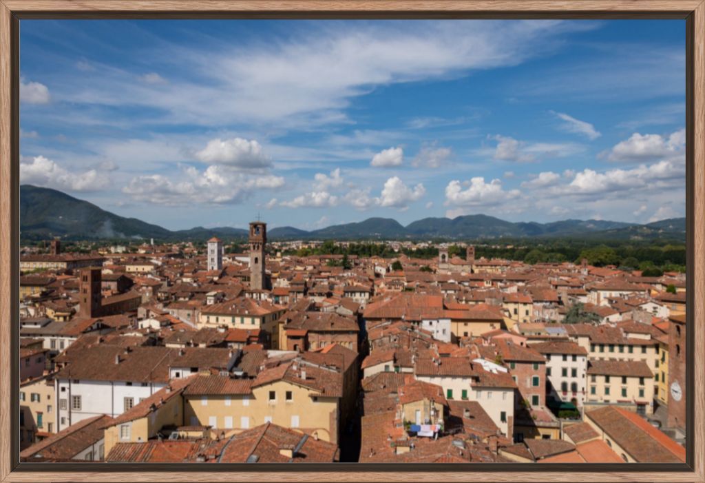 Rooftops of Lucca, Italy - Framed Photograph by Leah Ramuglia