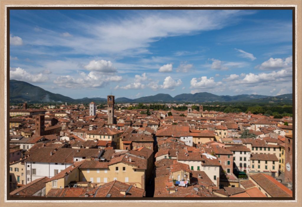 Rooftops of Lucca, Italy - Framed Photograph by Leah Ramuglia
