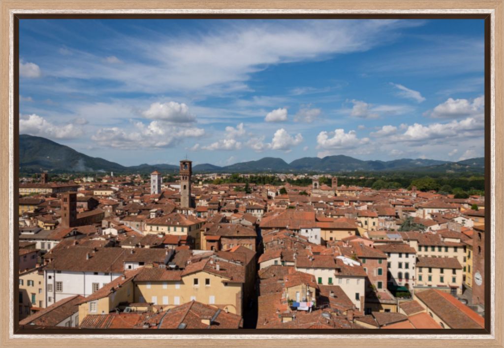 Rooftops of Lucca, Italy - Framed Photograph by Leah Ramuglia