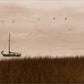 Southern Sail Boat - Printed on Wood