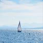 Sailboat on Lake Champlain - Photograph Printed on Metal