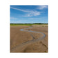 Cape Cod Beach Poster - Wellfleet, MA - National Seashore - Vertical Wall Art