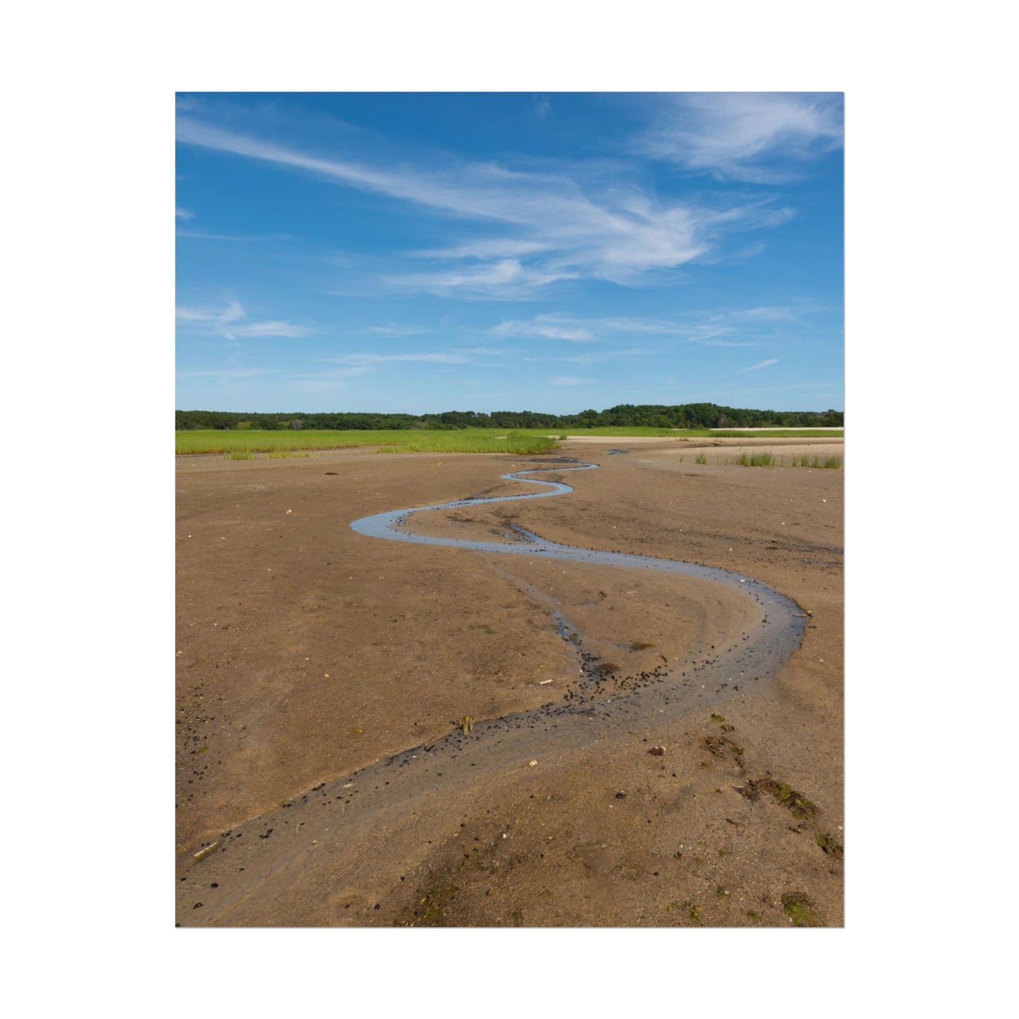 Cape Cod Beach Poster - Wellfleet, MA - National Seashore - Vertical Wall Art