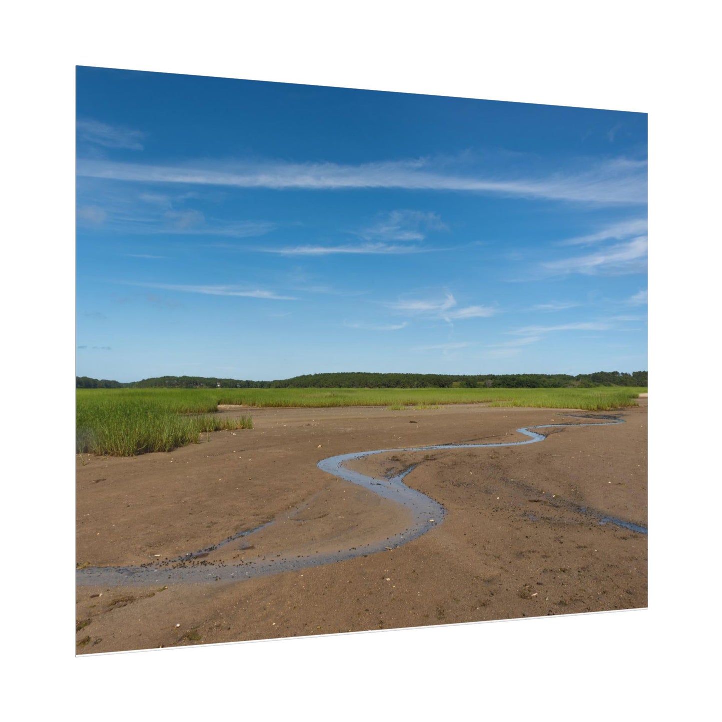 Cape Cod Beach Poster - Wellfleet, MA - National Seashore - Wall Art