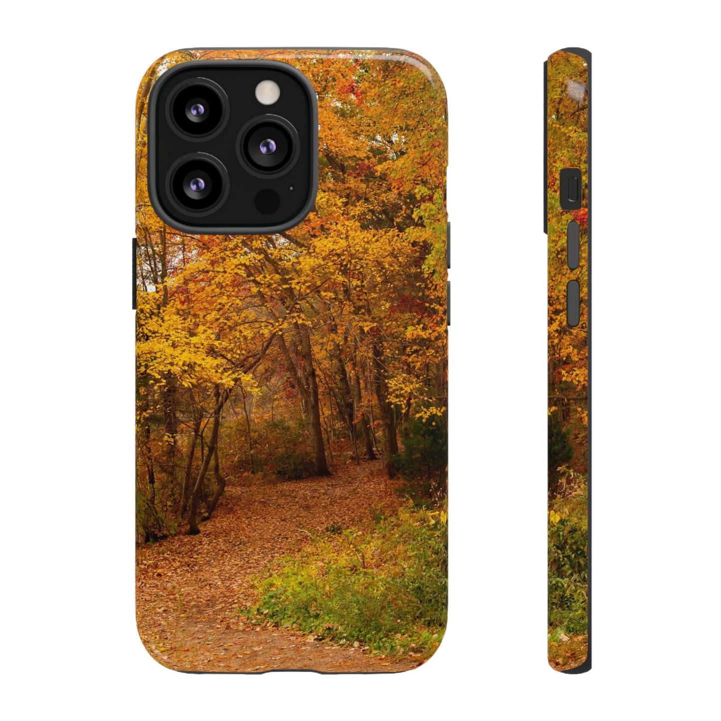 Fall Foliage Phone Case