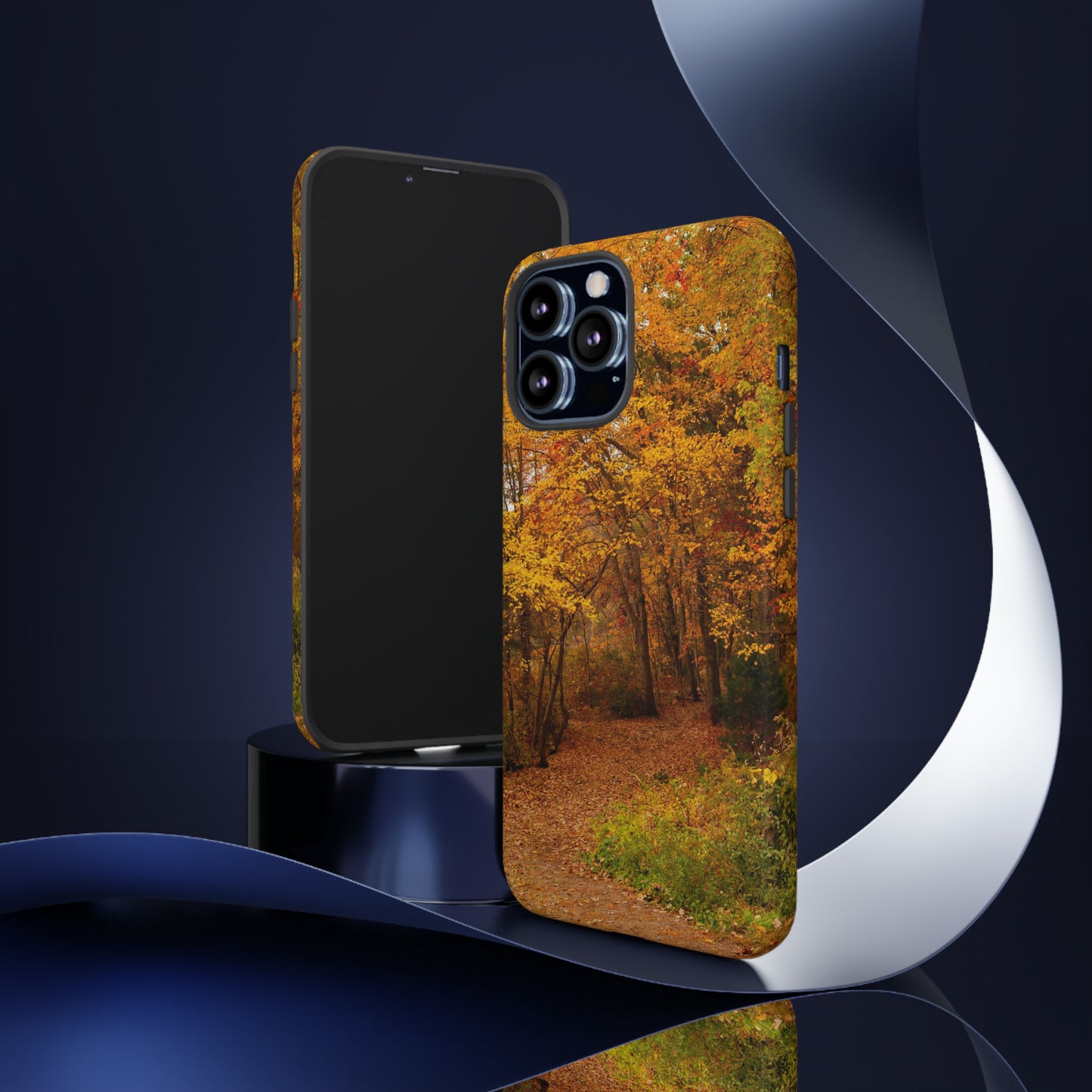 Fall Foliage Phone Case