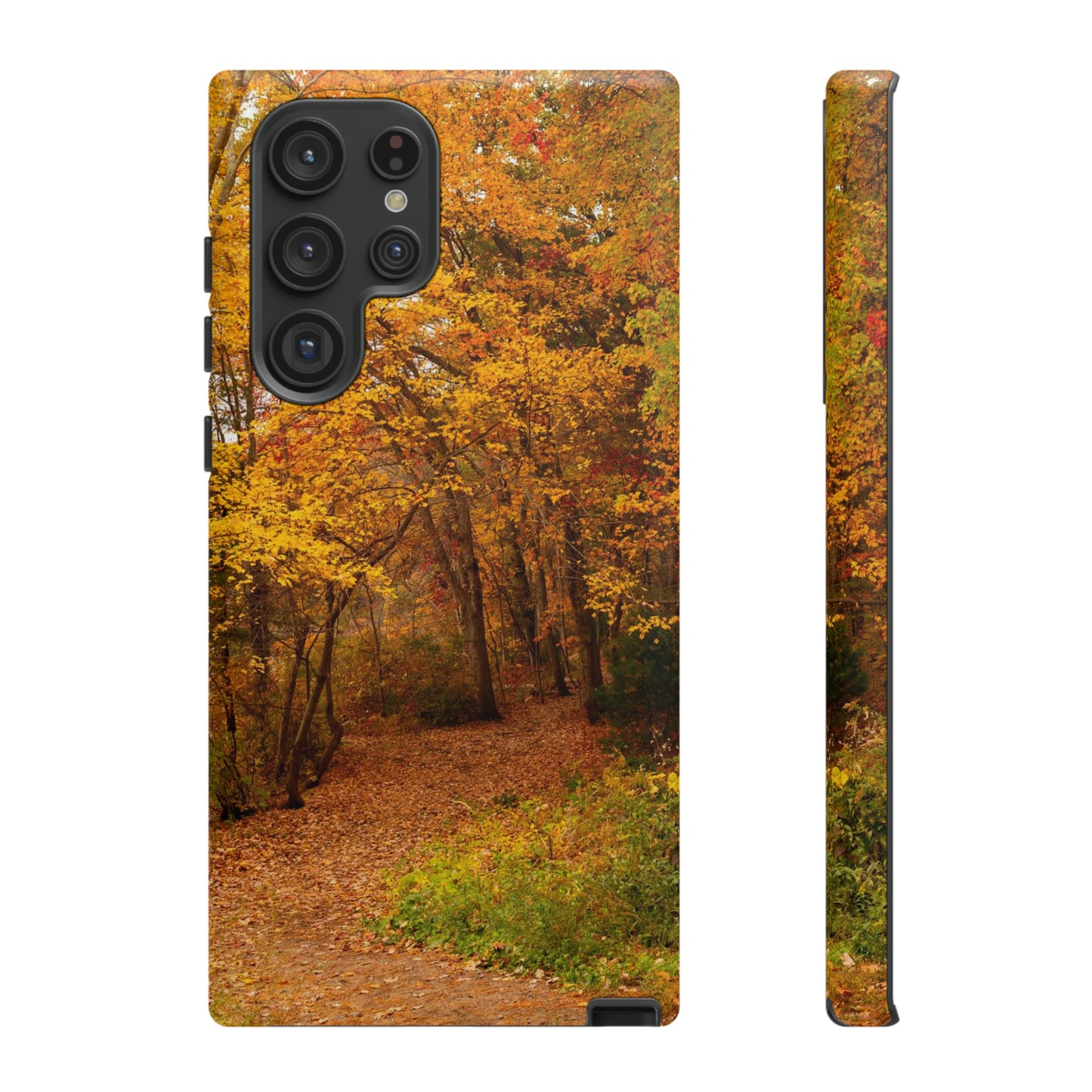 Fall Foliage Phone Case