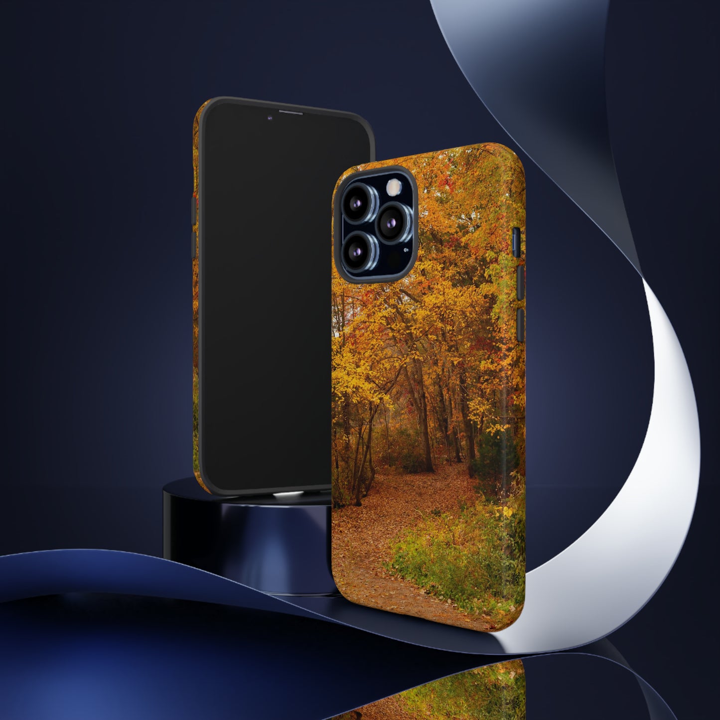 Fall Foliage Phone Case