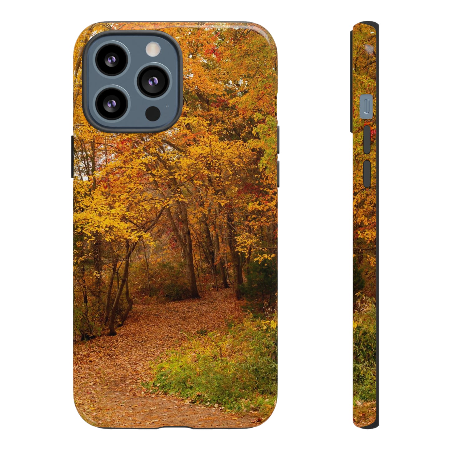 Fall Foliage Phone Case