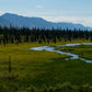 Alaska Metal Wall Art - Scenic Denali National Park