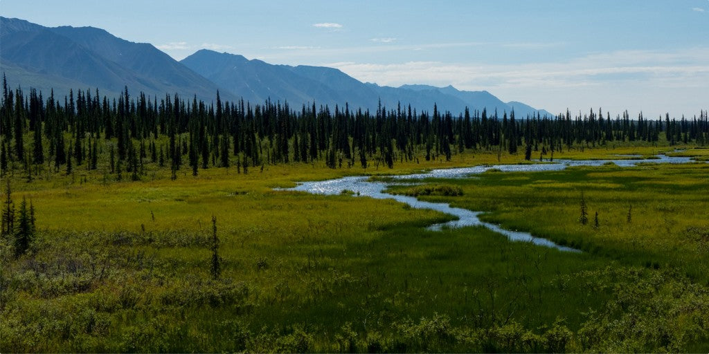 Alaska Metal Wall Art - Scenic Denali National Park