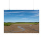 Cape Cod Beach Poster - Wellfleet, MA - National Seashore - Wall Art