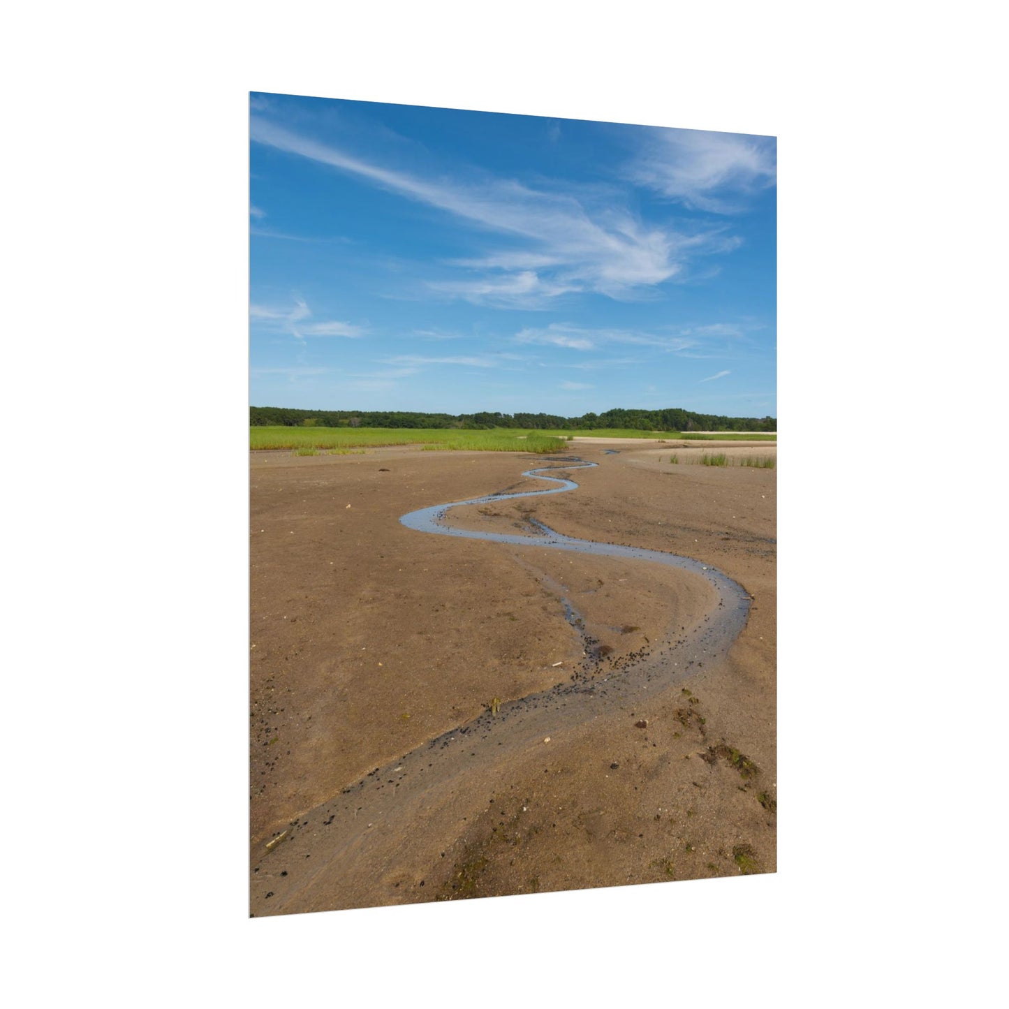 Cape Cod Beach Poster - Wellfleet, MA - National Seashore - Vertical Wall Art