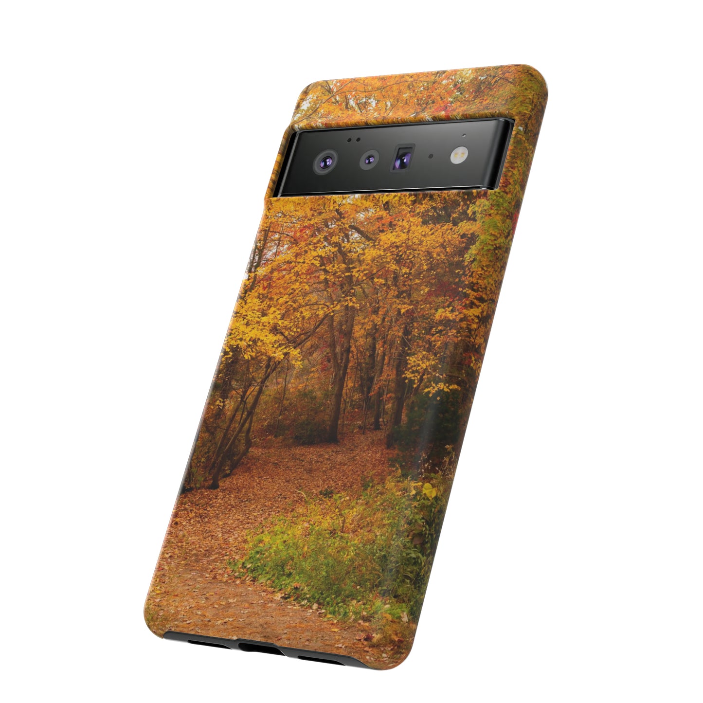 Fall Foliage Phone Case