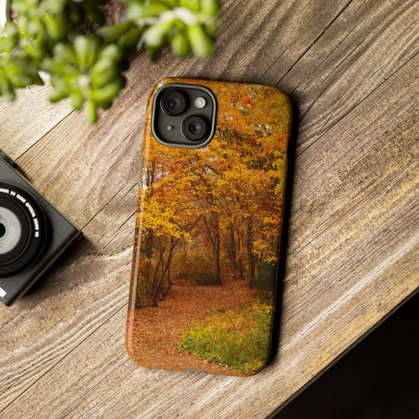 Fall Foliage Phone Case