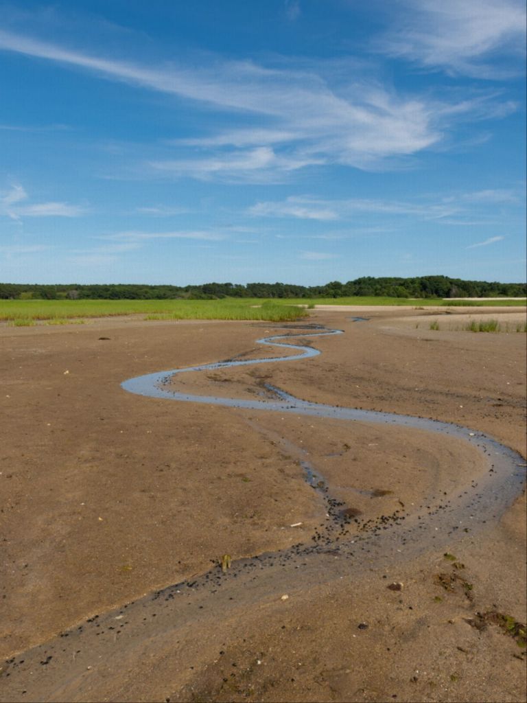 Wellfleet, Cape Cod - Canvas Print