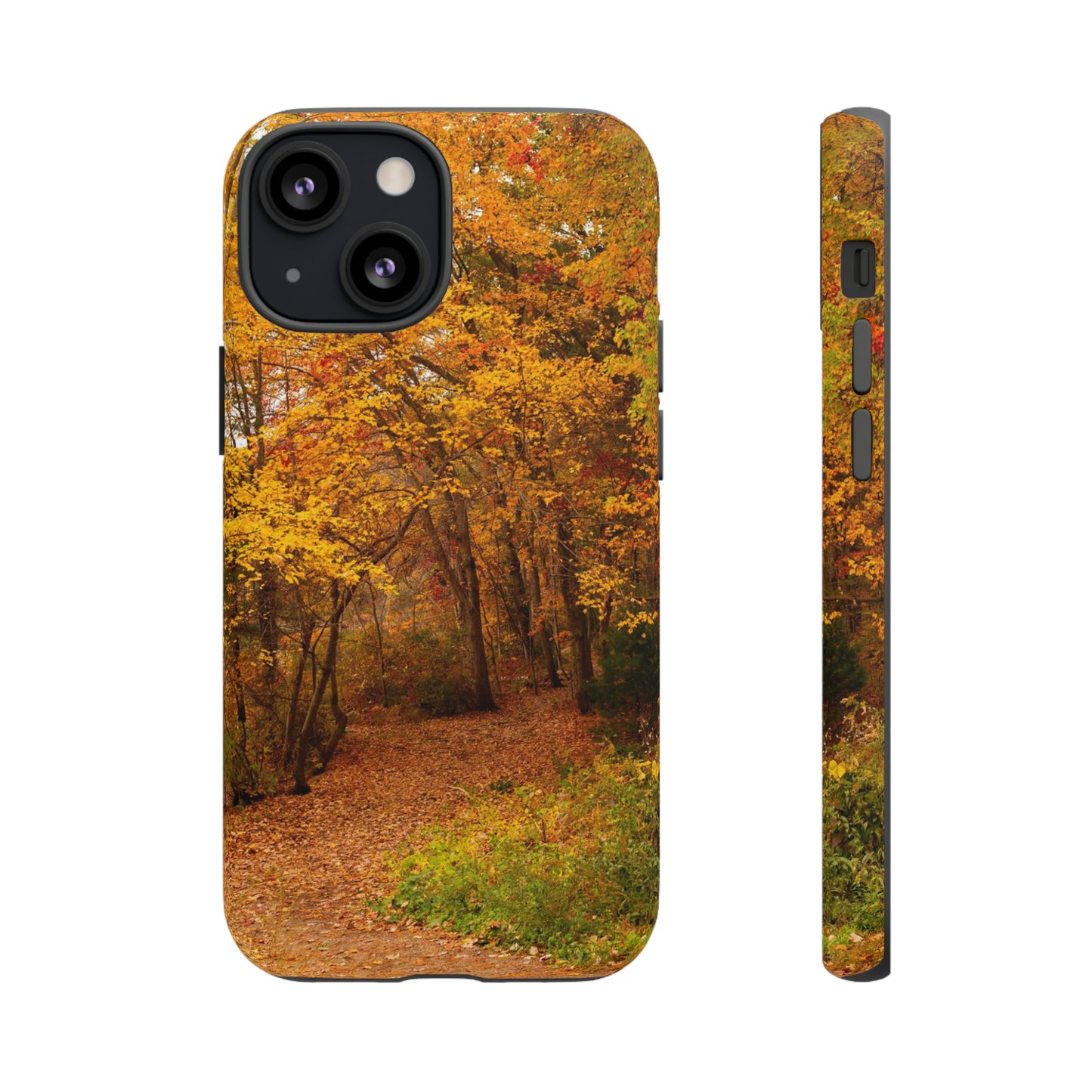 Fall Foliage Phone Case