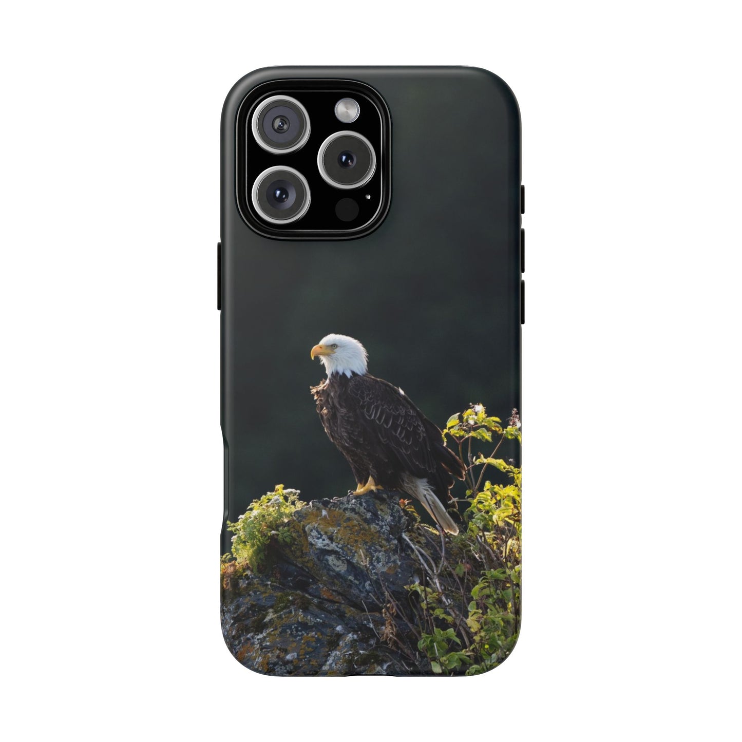 Bald Eagle - Phone Case - America - USA