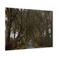 Dark Hedges Poster - Northern Ireland, UK - Wall Art