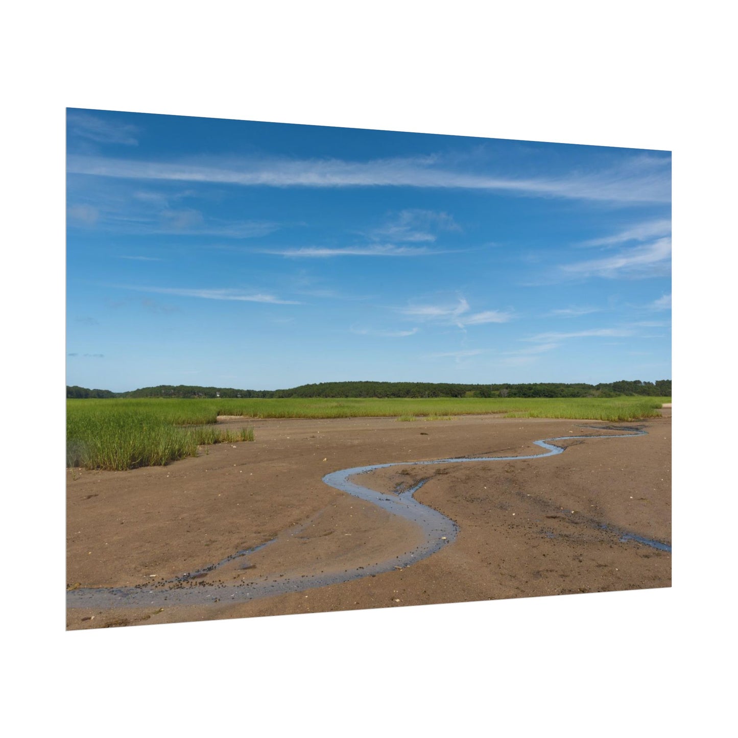 Cape Cod Beach Poster - Wellfleet, MA - National Seashore - Wall Art