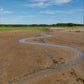 Wellfleet, Cape Cod - Canvas Print