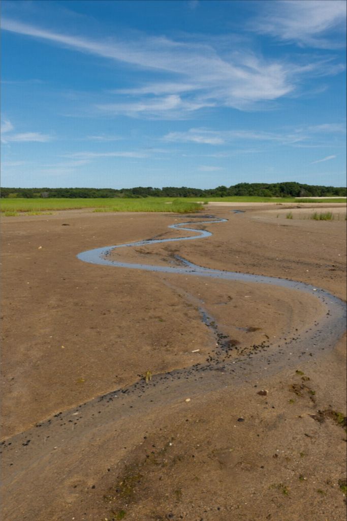 Wellfleet, Cape Cod - Canvas Print