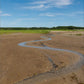 Wellfleet, Cape Cod - Canvas Print