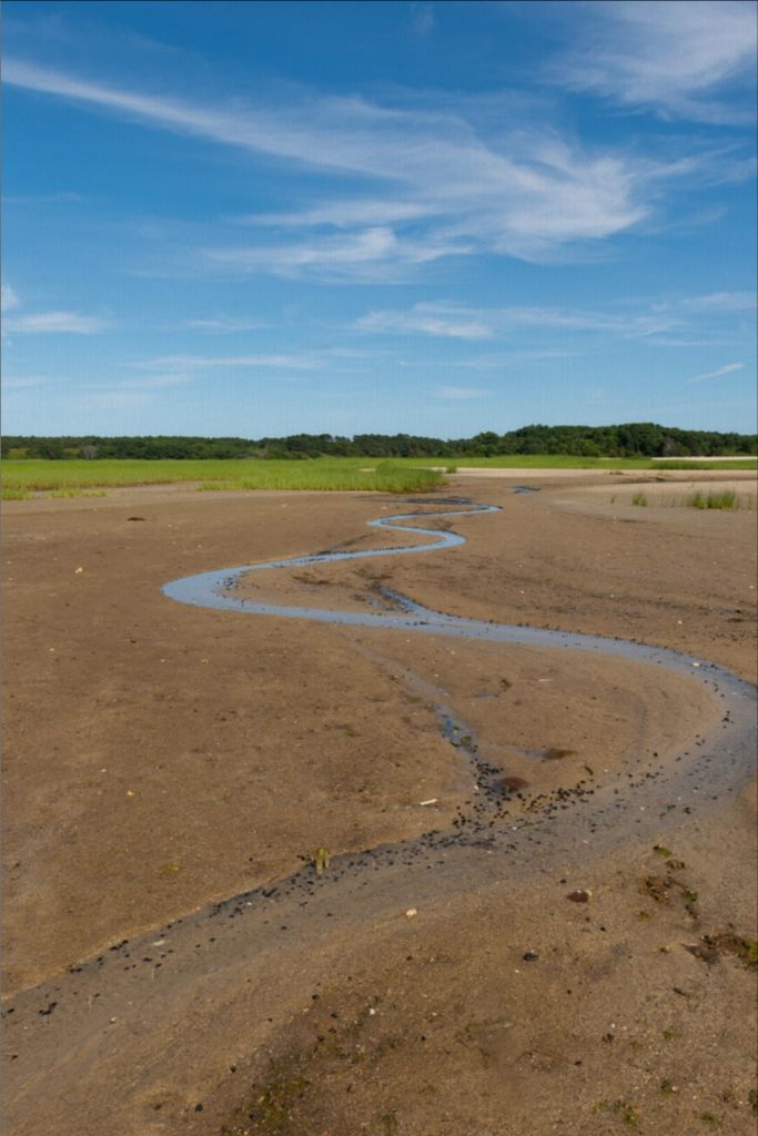 Wellfleet, Cape Cod - Canvas Print