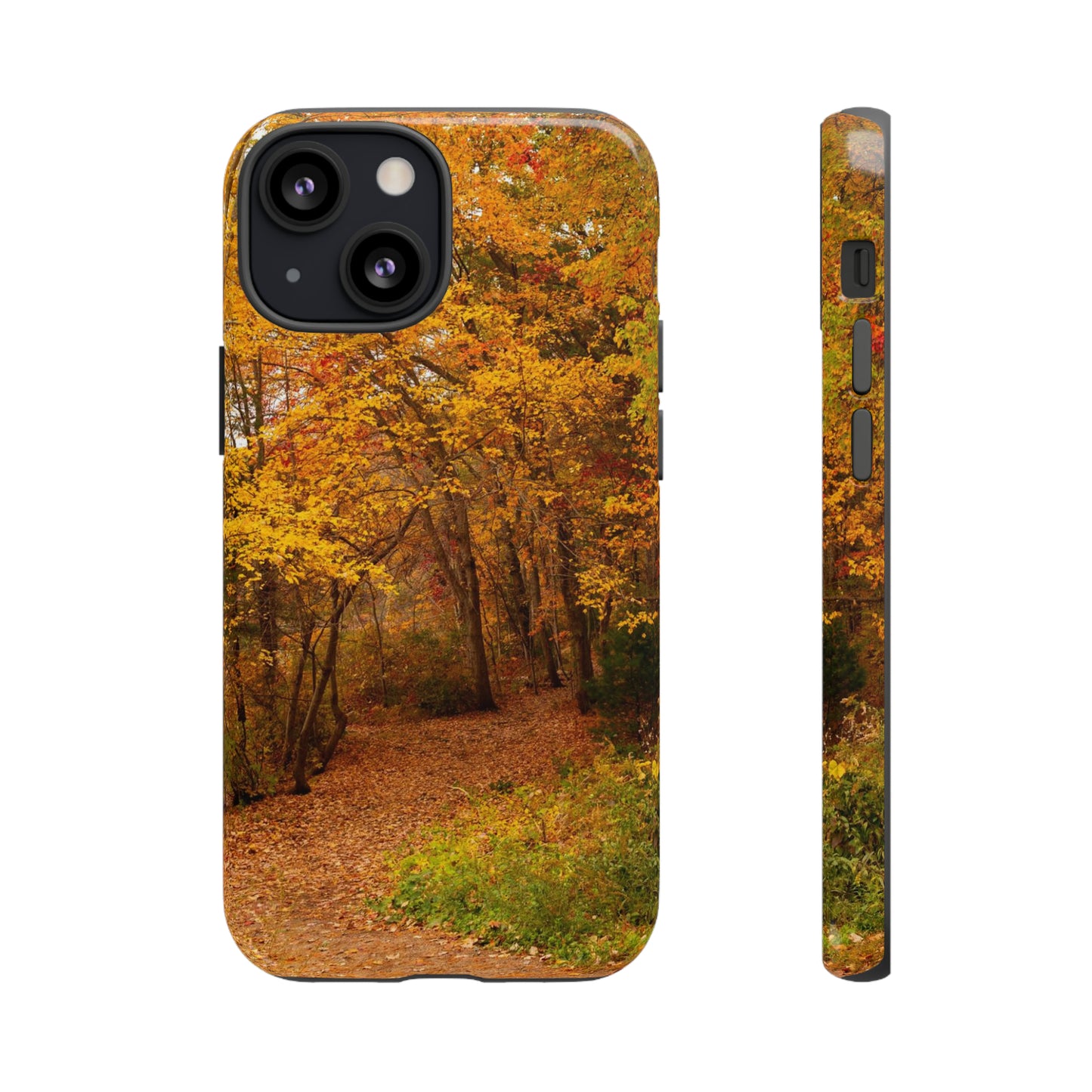 Fall Foliage Phone Case