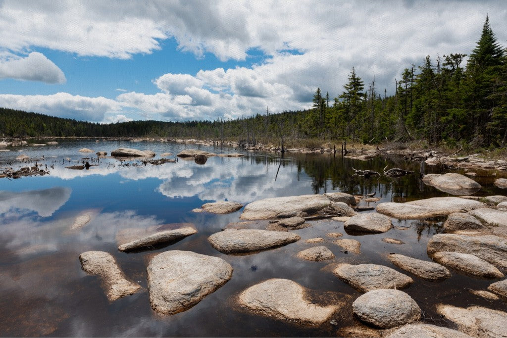 Mount Nancy, NH - Canvas Wall Art - New Hampshire