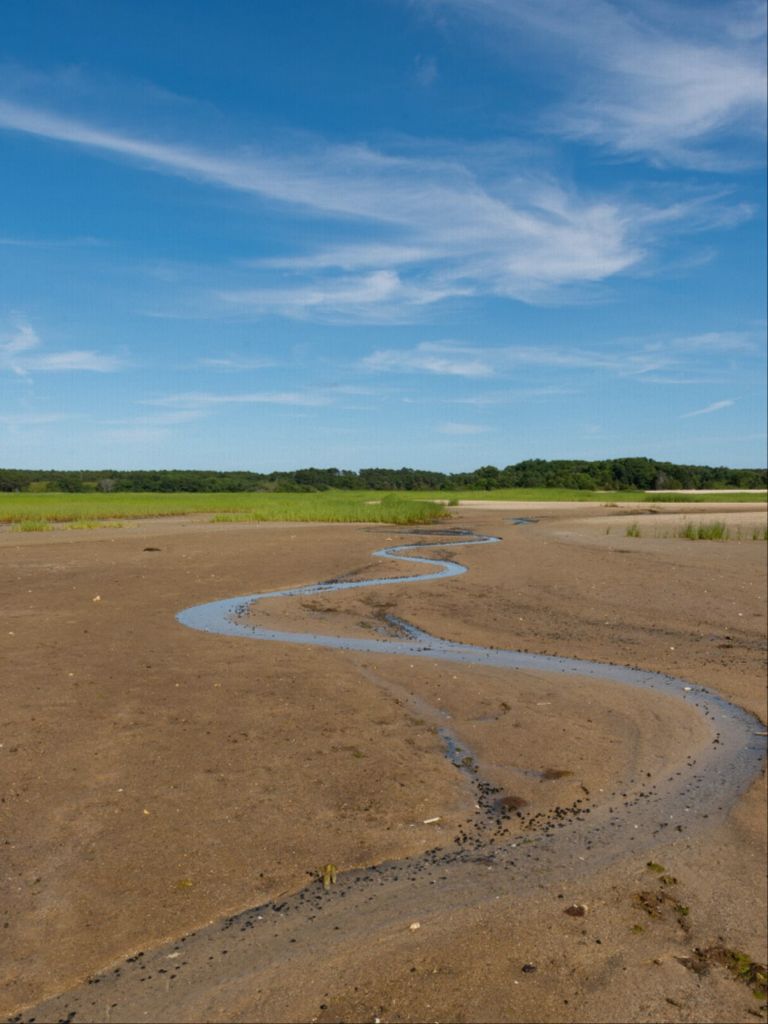 Wellfleet, Cape Cod - Canvas Print