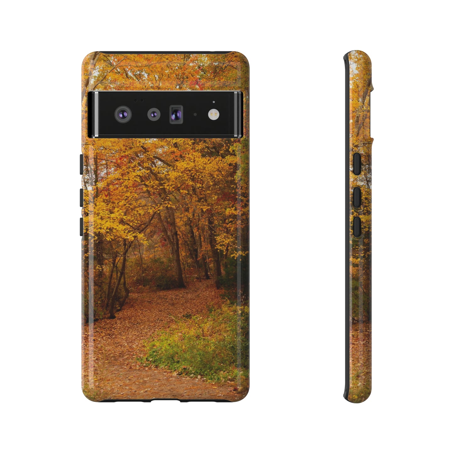 Fall Foliage Phone Case