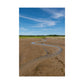 Cape Cod Beach Poster - Wellfleet, MA - National Seashore - Vertical Wall Art