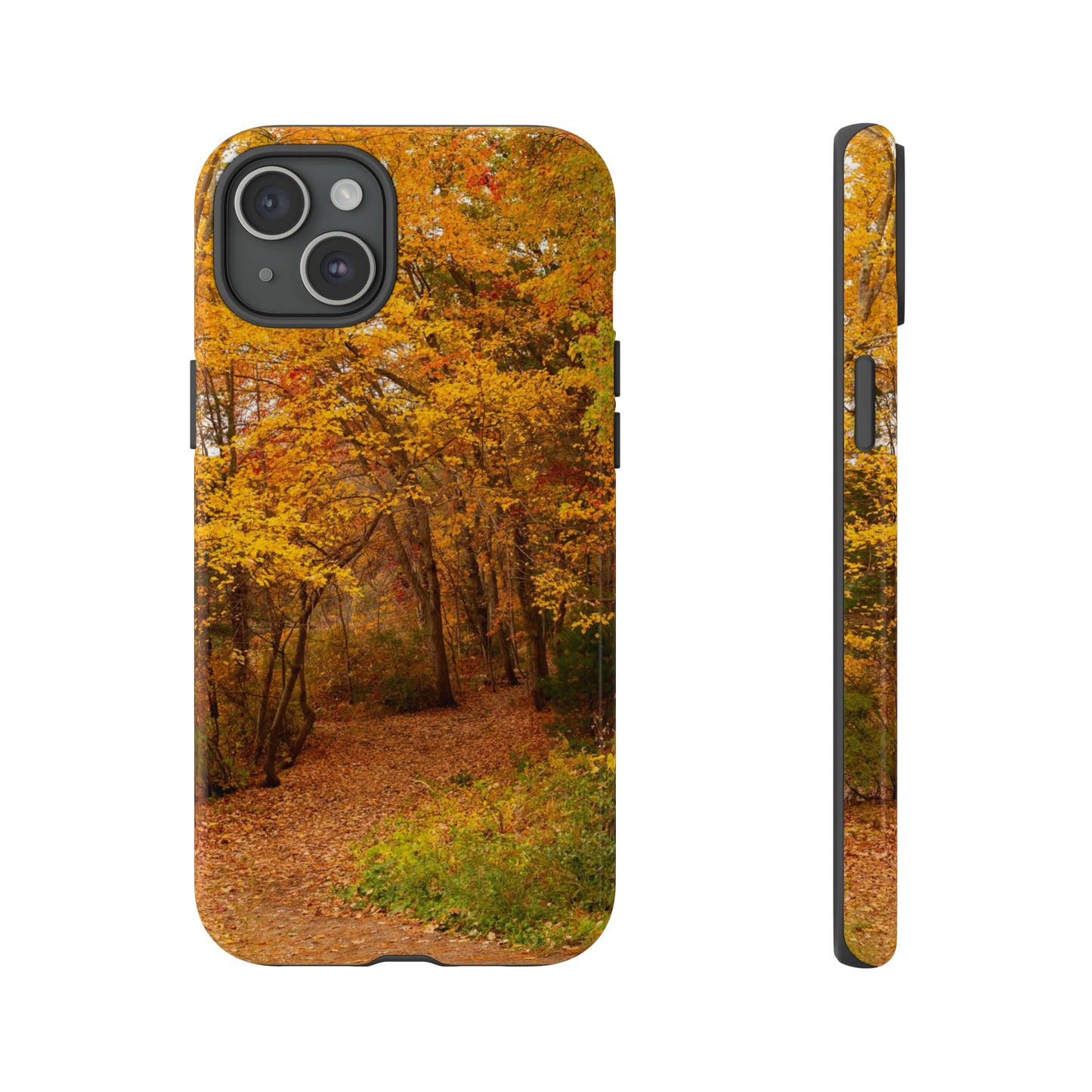 Fall Foliage Phone Case