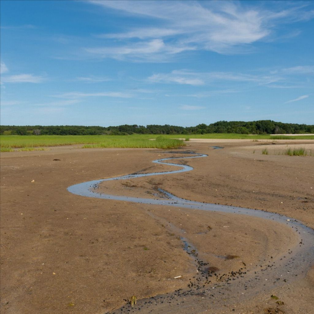 Wellfleet, Cape Cod - Canvas Print