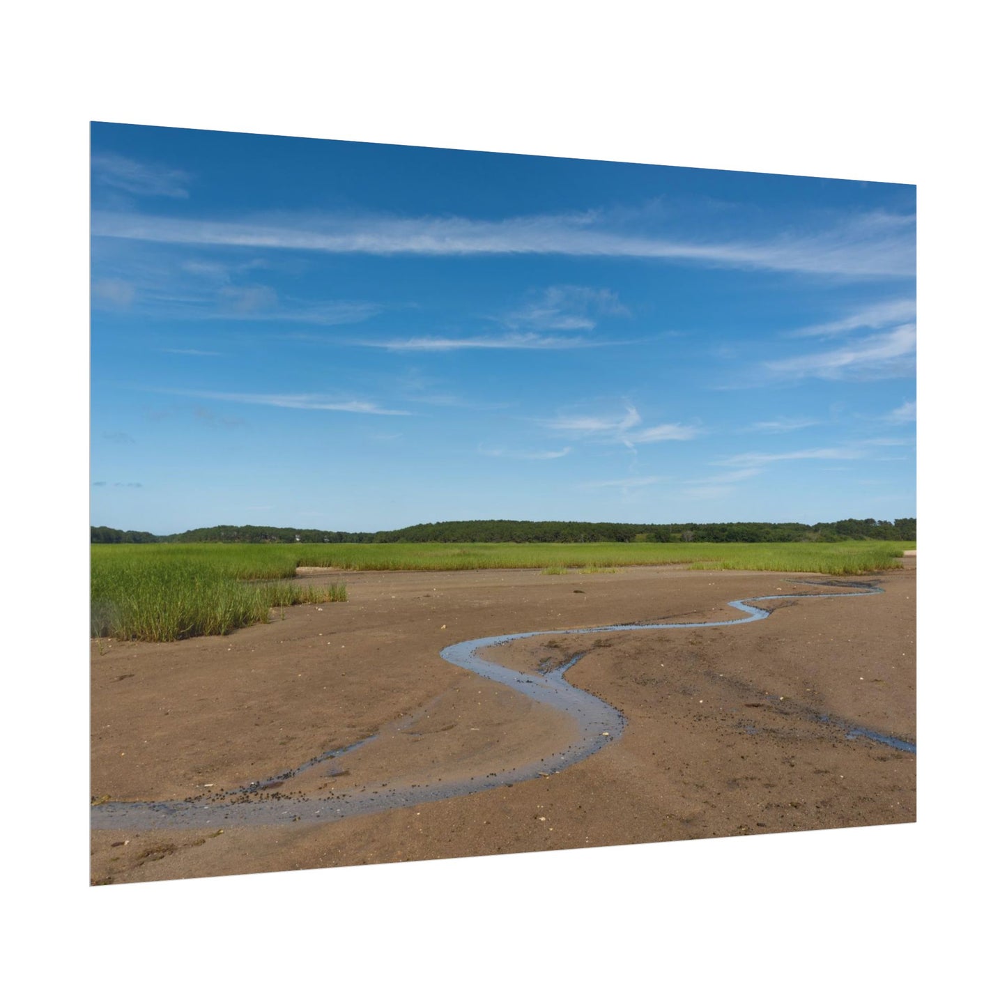 Cape Cod Beach Poster - Wellfleet, MA - National Seashore - Wall Art