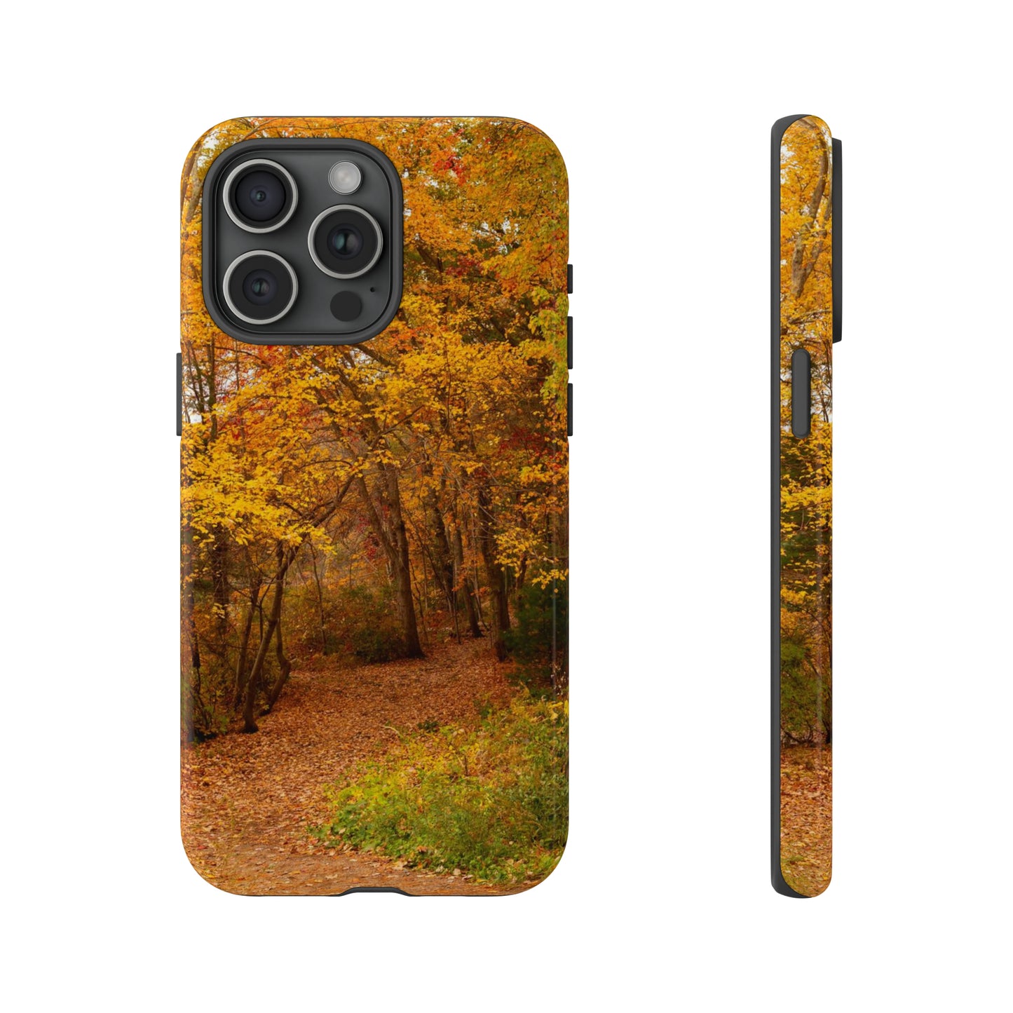 Fall Foliage Phone Case