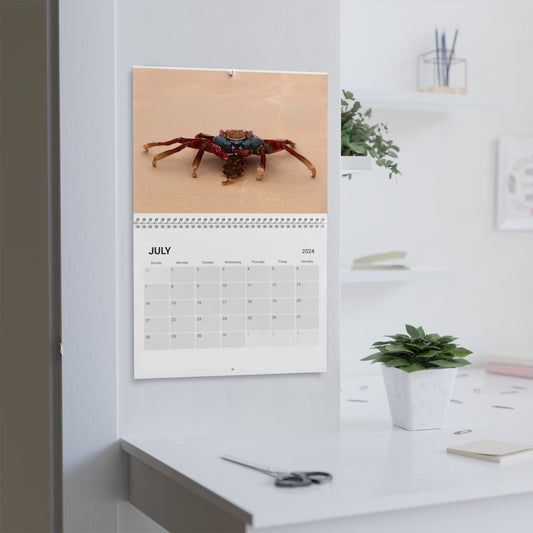 Beach Wildlife Photography Calendar by Leah Ramuglia