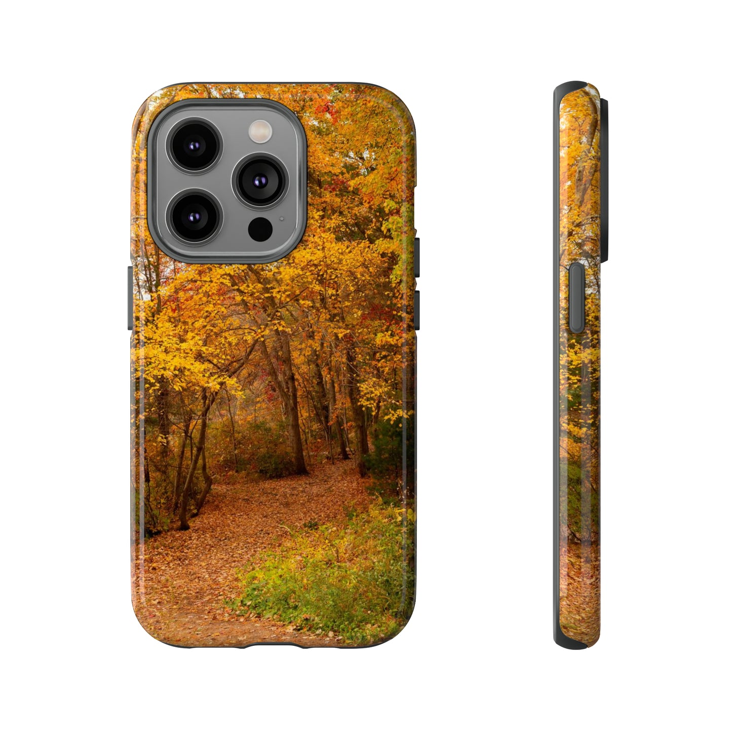 Fall Foliage Phone Case