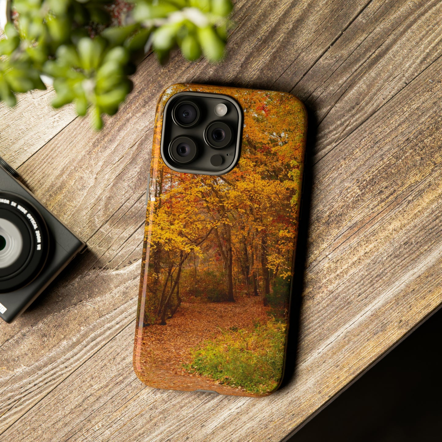 Fall Foliage Phone Case